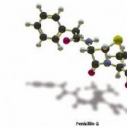 治疗：青霉素为何能有效应对梅毒？