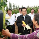 胡锦涛总书记在河南考察农村改革发展情况纪实