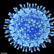 荷兰科学家制造致命禽流感病毒毒株引发争议