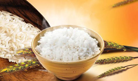 [第277期]“米饭”会是垃圾食品吗？