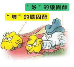 [第1175期]胆固醇月,对于胆固醇你了解多少