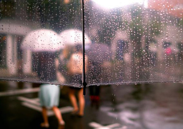 [第1204期]雨季身体“湿哒哒”，快来祛湿！