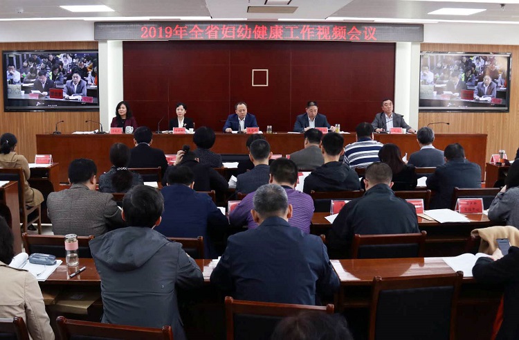 2019年河北省妇幼健康工作视频会议在石召开