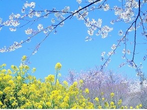 春季旧病易发时节 注意预防